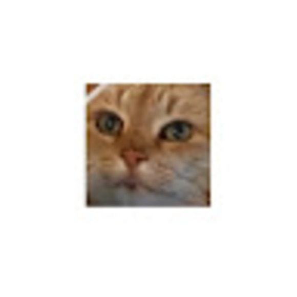 Meet your Posher, Camela - Picture 1 of 1